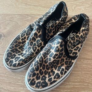 Cheetah Vans